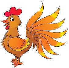 Question : Pourquoi le poulet a traversé la route ? Poulet10