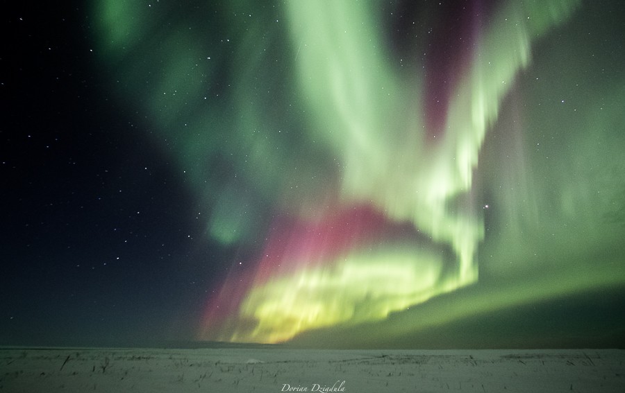 Un peu d'hiver ? Islande 2016 Gd1a2014