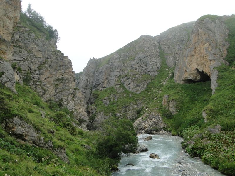 Pralognan (Vallon de Chavière): les chèvres de Chapendu Dsc03811