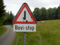 ATTENTION aux passages canadien pour le bétail Bovi-s10