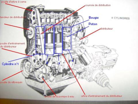 VW Polo 6N1 1.4 essence an 1999 ] Bruit de ferraille et fuite d'huile côté  distribution