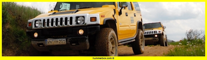 Aimez vous le Hummer en couleur jaune ? Header10