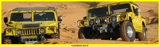 Aimez vous le Hummer en couleur jaune ? Header17