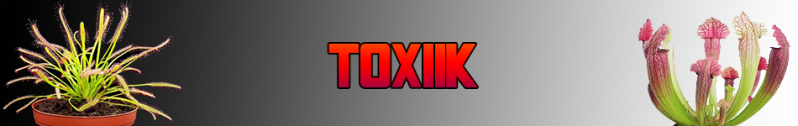 Album de ToXiiK Toxiik10