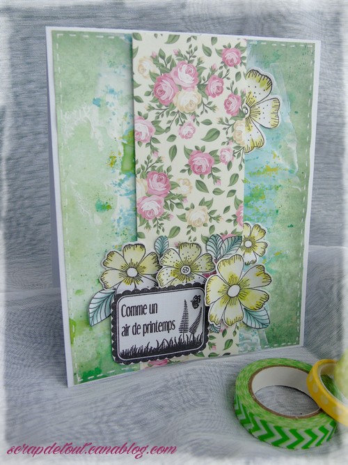 Cricri vous propose pour ce challenge scrapbooking day Dsc03822