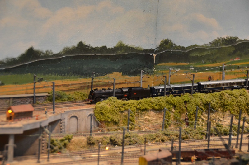 21 et 22 mai 2016 rencontre du train miniature guerignoise - Page 4 Dsc_0024