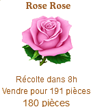 Rose Rose Sans_134