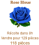 Rose Bleue Sans_136