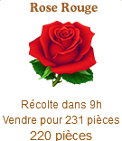 Rose Rouge Sans_137