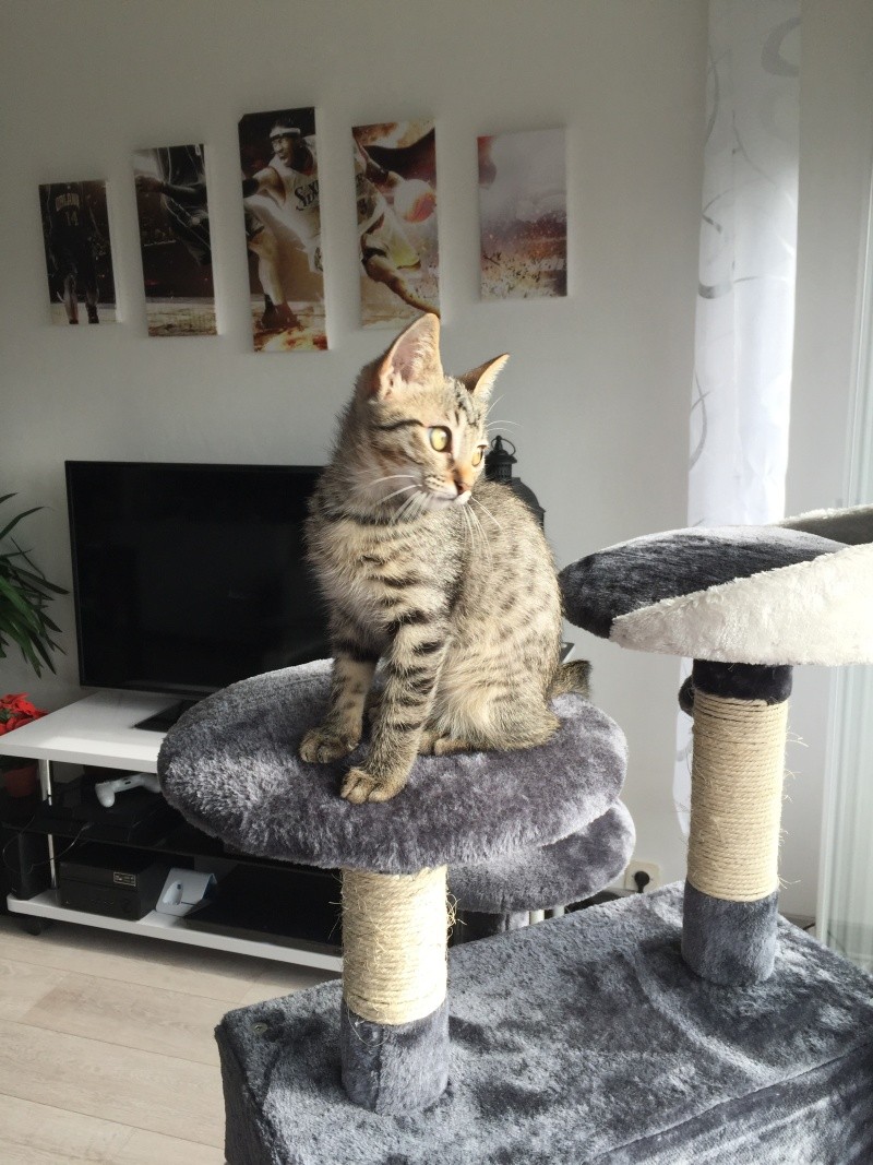 ZAZOU Img_0910