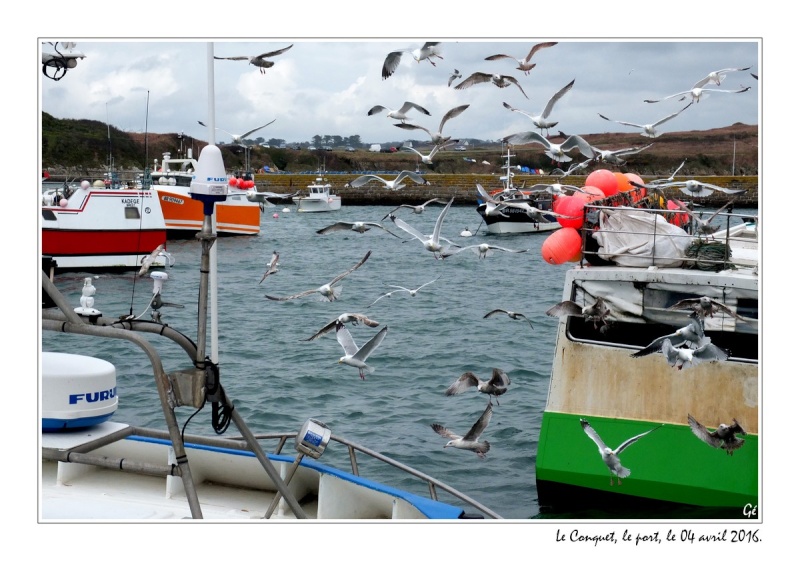 [VIE DES PORTS] Quelques bateaux de pêche (sur nos côtes Françaises) - Page 23 20160422