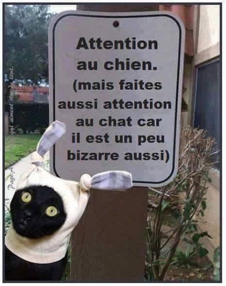 humour - Page 3 12924610