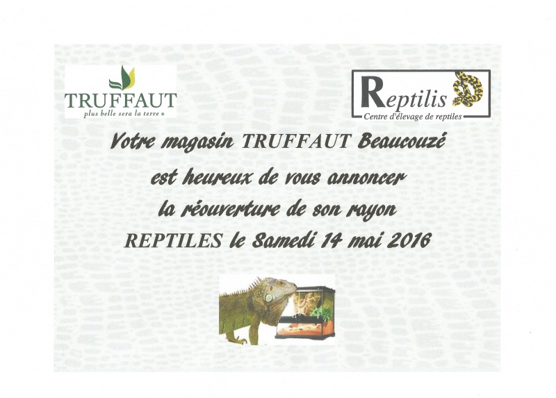Réouverture du rayon REPTILES à Truffaut Beaucouzé Scan_t10