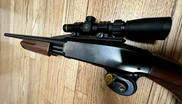 Shotgun ou rifle 31931910