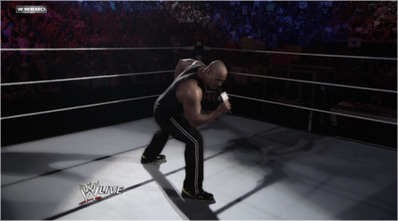 The Rock vs Seth Rollins 2014-012