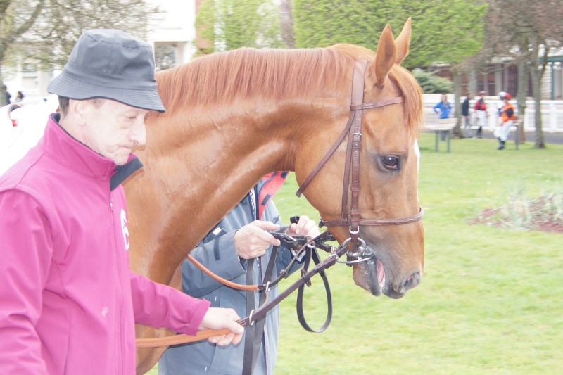 Le compteur de victoires : 2678, 10/04/16, Arvios Dsc00611