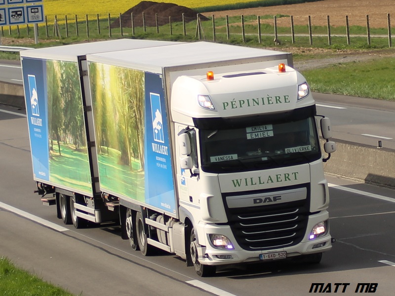 Willaert Pépinières (B) Daf_1012