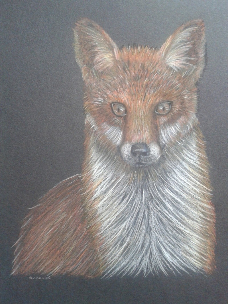 (Techniques mixtes) Le fox 20134911
