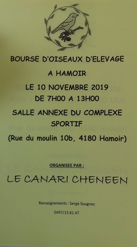 Bourse Hamoir [10 novembre 2019] Hamoir11
