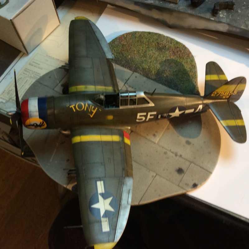 P-47 Search and Rescue - Page 4 Image187