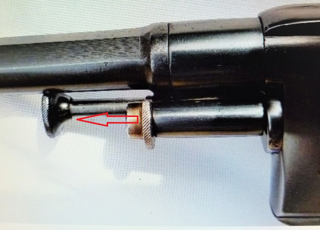 Démontage revolver 1887 civil P1060610