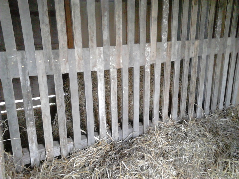 La cabane de mes Bigoudets  Cabane17