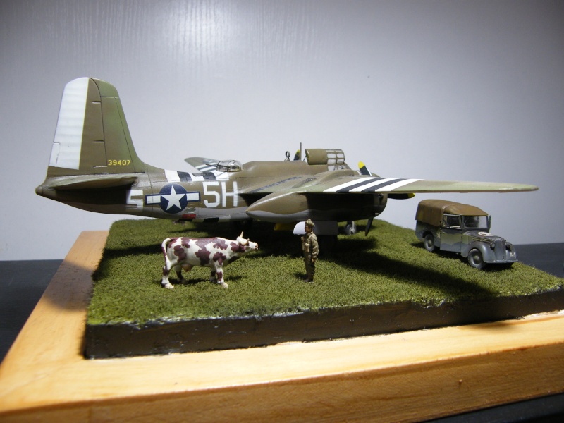 USAAF et RAF.....  Dscf9421