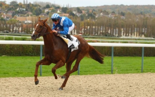  Bordeaux - Le Bouscat - Quinté-Jeudi 12/05/16 C5fbf410