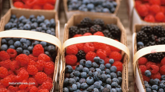 WHAT'S THE BEST WAY TO START A NATURAL APPROACH TO SKINCARE? THESE SUPERFOODS CAN HELP  Bulk-c10