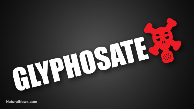 GLYPHOSATE TESTING IN PORTUGAL DETECTS HIGHEST LEVELS EVER RECORDED IN PEOPLE WITH NO PROFESSIONAL EXPOSURE Glypho10