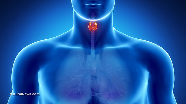 TOP 6 TOXINS THAT DESTROY YOUR THYROID Man-th11