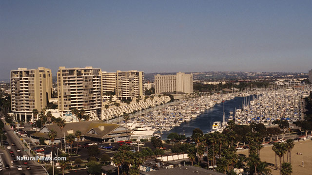 CALIFORNIA CONSIDERS PLAN TO CLEAN UP HEAVY COPPER POLLUTION IN MARINA DEL REY WATER Marina10