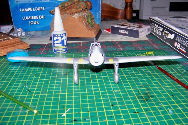 1/48 PZL P 23b Karas : Mirage - Page 2 100_0316