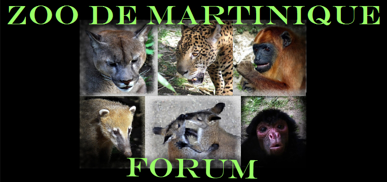 Zoo de Martinique - Forum