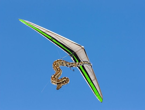 Chute panterophis - Page 2 Et-si-10