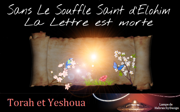 Sans Le Souffle Saint d'Elohim La Lettre est morte Sans_l10