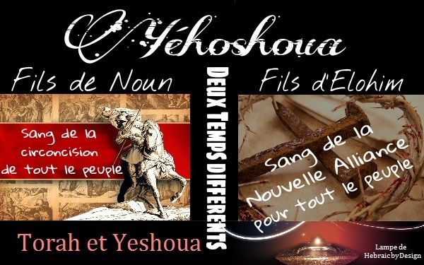 La circoncision Yyhosh10