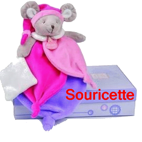 c'est beau l'amour  Souris10