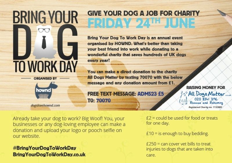 June 24 Bring Your Dog To Work Day