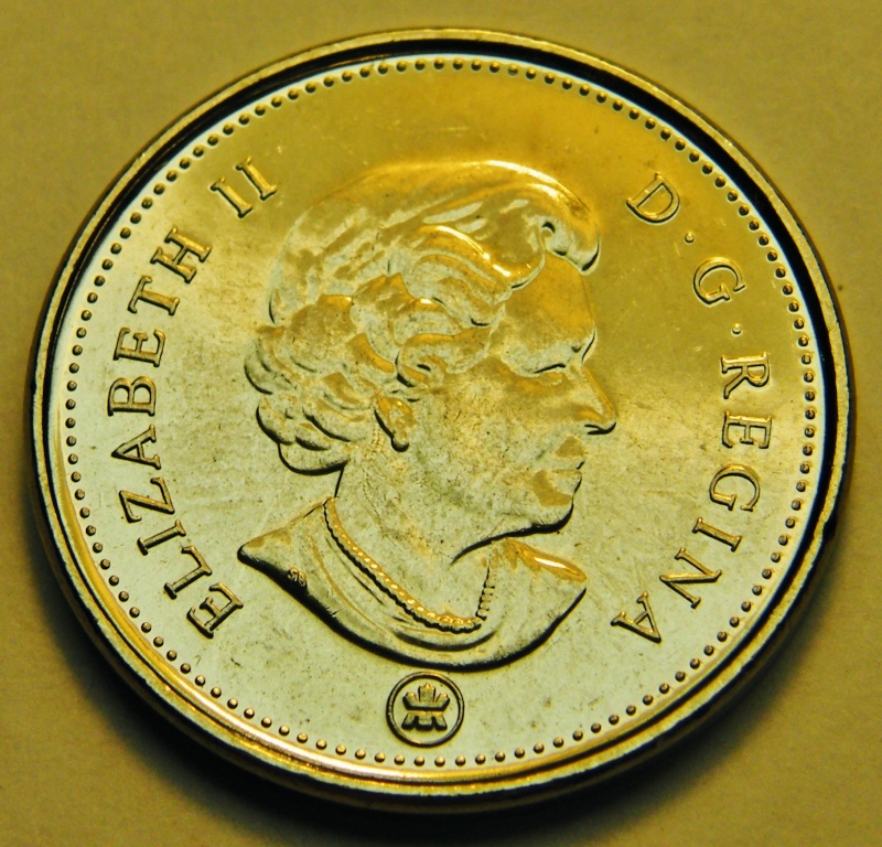 2012 - Dommage au Coin, Poil sur Tête du Castor (Die Damage, Hair on Bvr) Dscf4712