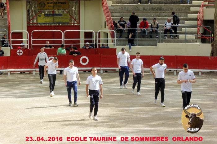   23..04..2016   Ecole  Taurine  de Sommieres _mg_0030