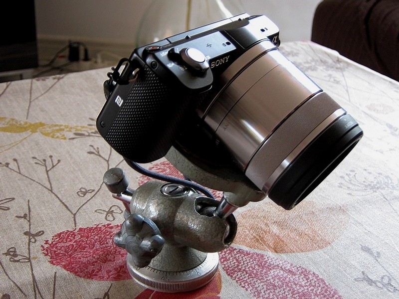 le top pour la macro photo! Rtimg_21