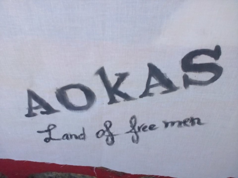 Aokas land of free men 233