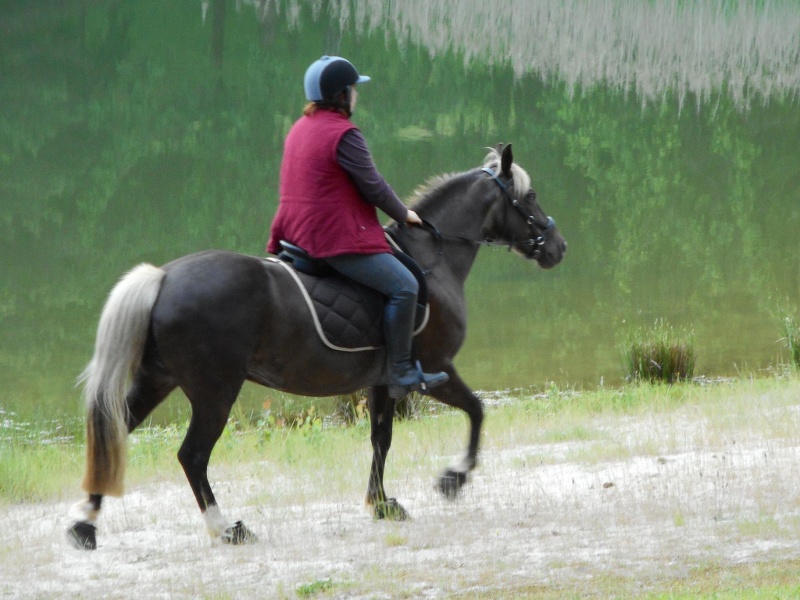 PELIPA - ONC Poney née en 2007 - adoptée en septembre 2014 par Ceed - Page 9 Dscn1213