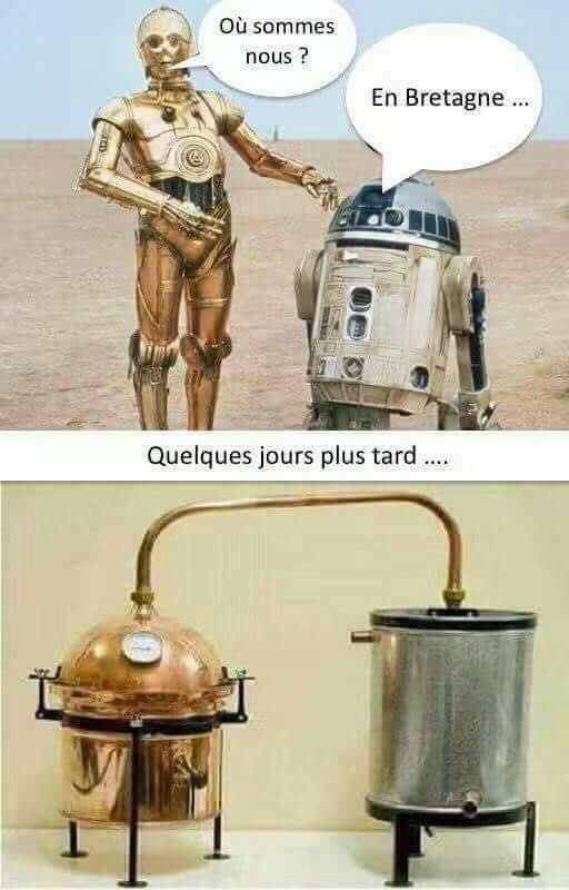 Humour du jour - Page 33 36418710