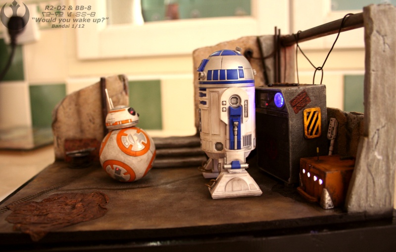 R2-D2 & BB-8 "Would you wake up?" (BANDAI) [COMPLETED] - Page 12 A210