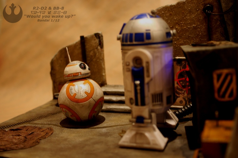 R2-D2 & BB-8 "Would you wake up?" (BANDAI) [COMPLETED] - Page 12 A310