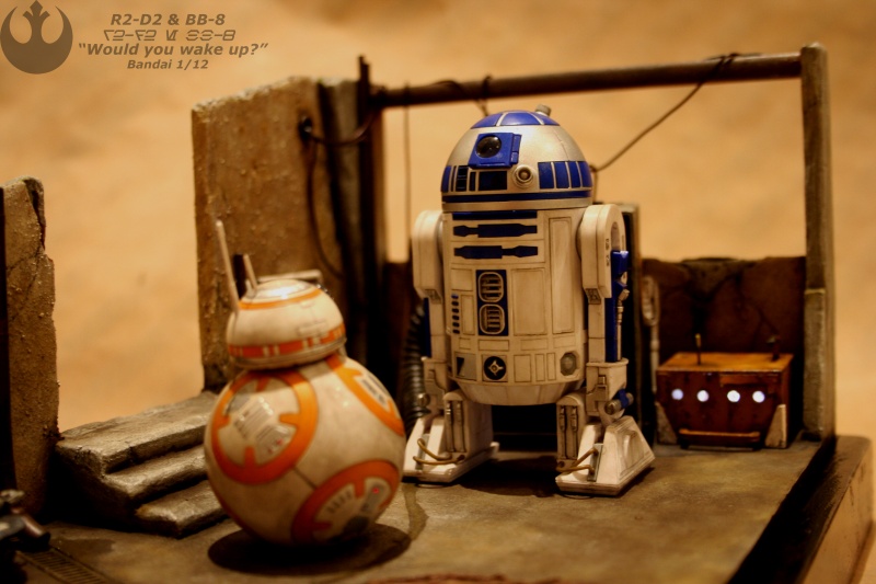 R2-D2 & BB-8 "Would you wake up?" (BANDAI) [COMPLETED] - Page 12 A410