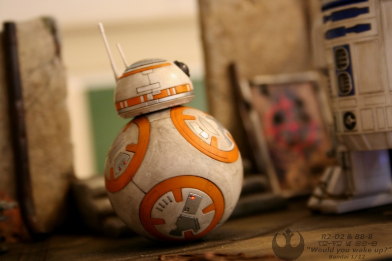 R2-D2 & BB-8 "Would you wake up?" (BANDAI) [COMPLETED] - Page 12 A510