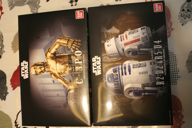 R2-D2 & C-3PO diorama "Knockin' on Jabba's door !" (BANDAI) [WIP] Img_3810